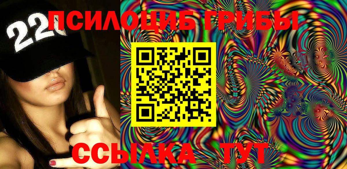 Биробиджан  Псилоцибиновые грибы MAGIC MUSHROOMS  Галлюциногенные грибы Psilocybe  Вход с VPN 